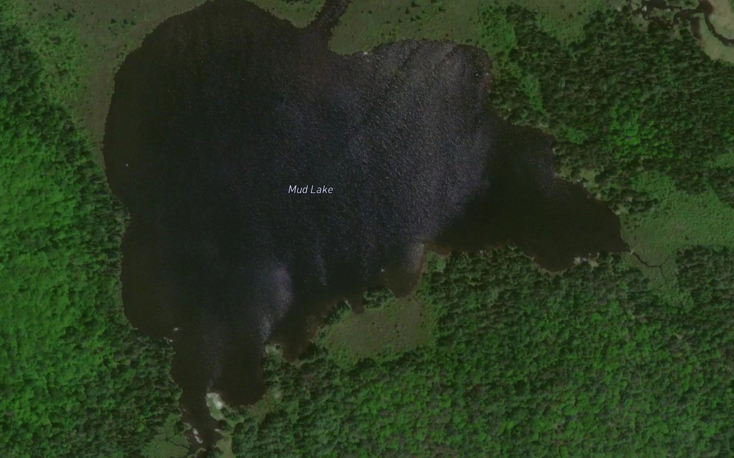 Mud Lake