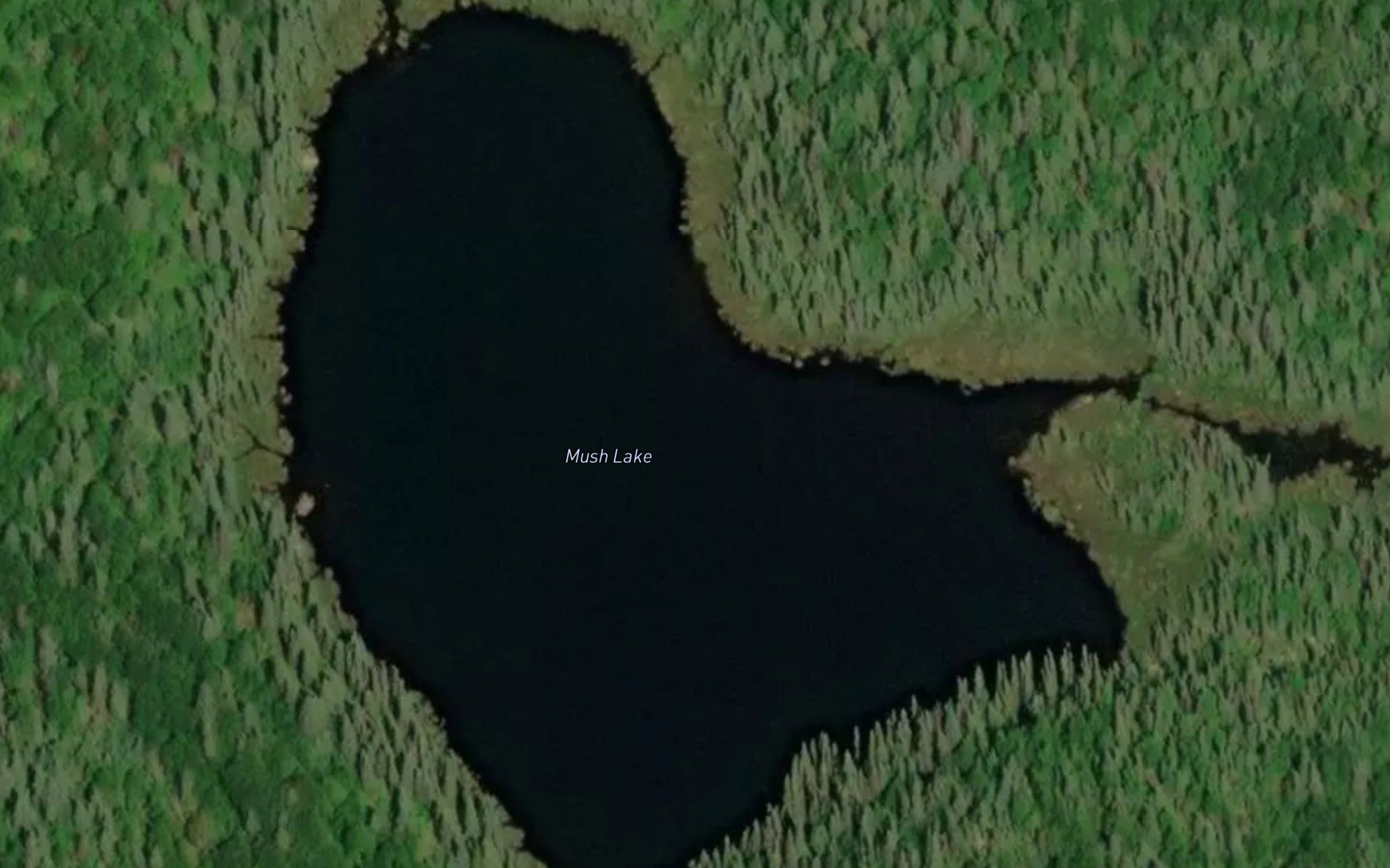 Mush Lake