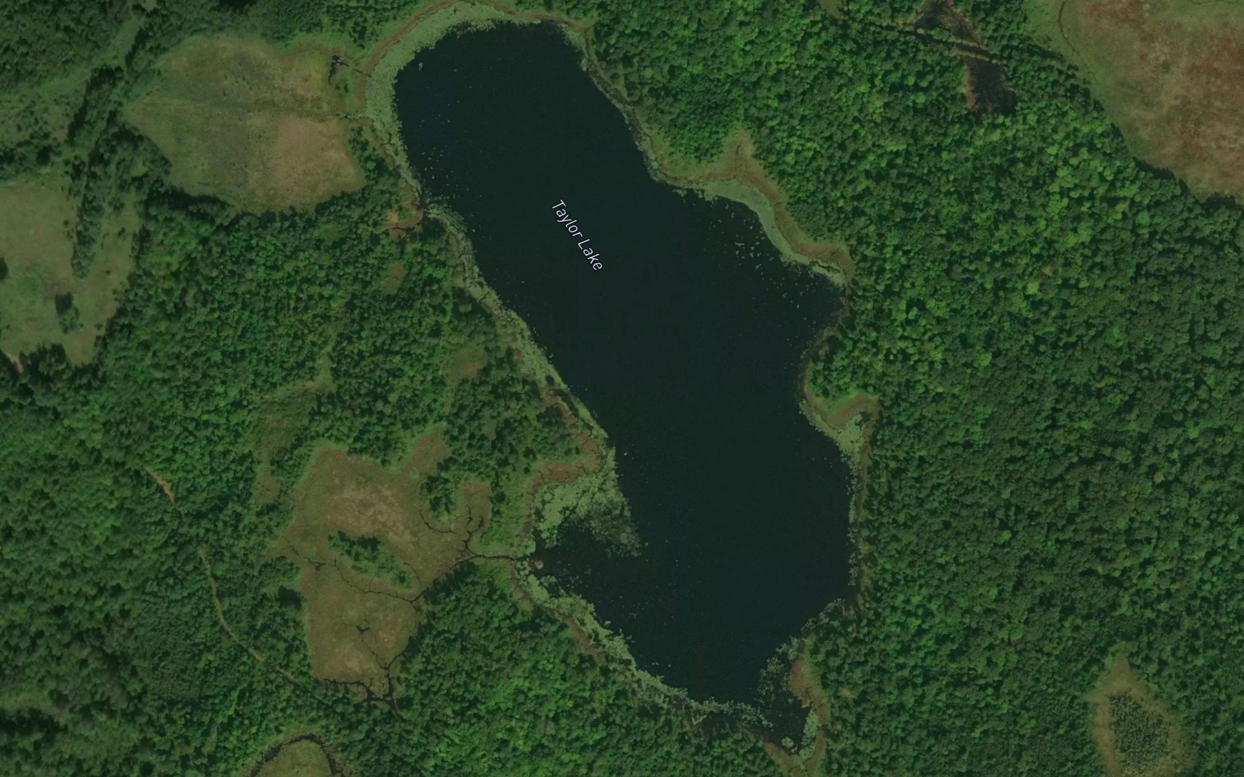 Taylor Lake