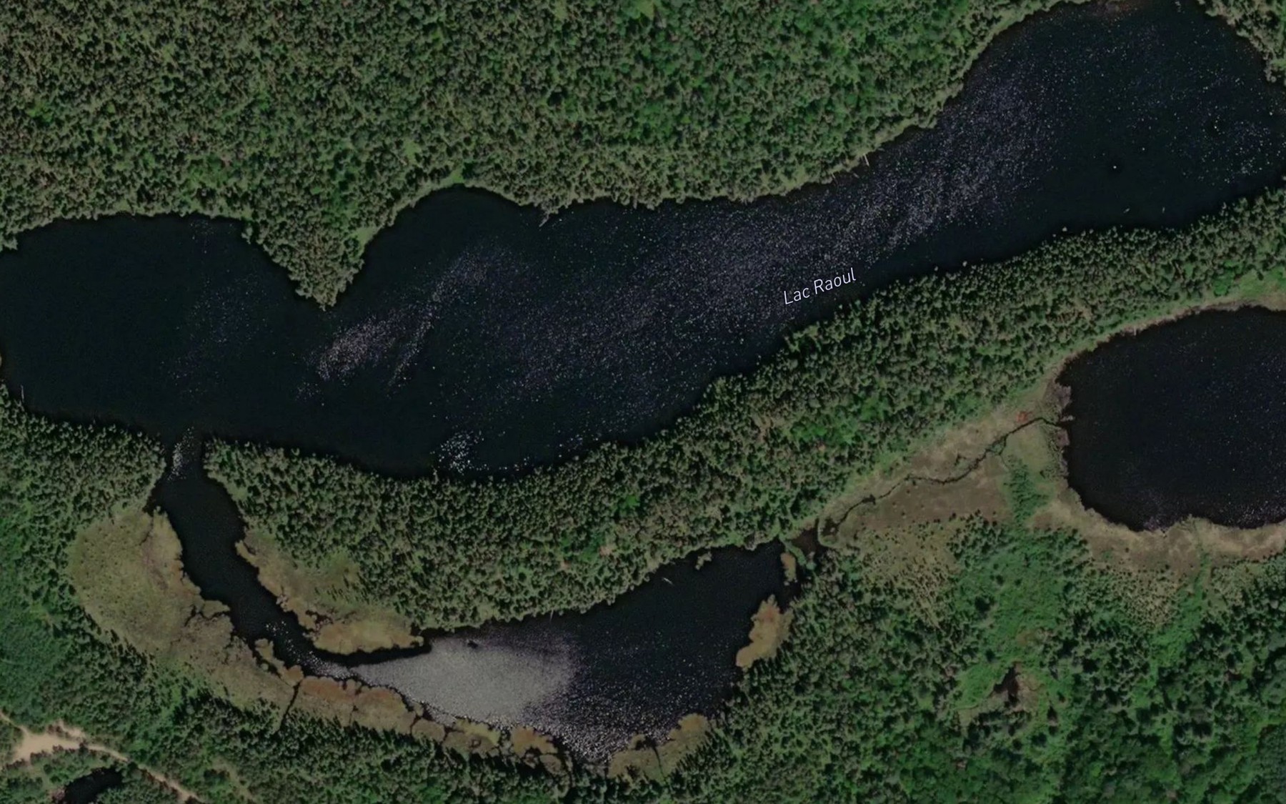 Satellite map of the Lac Raoul