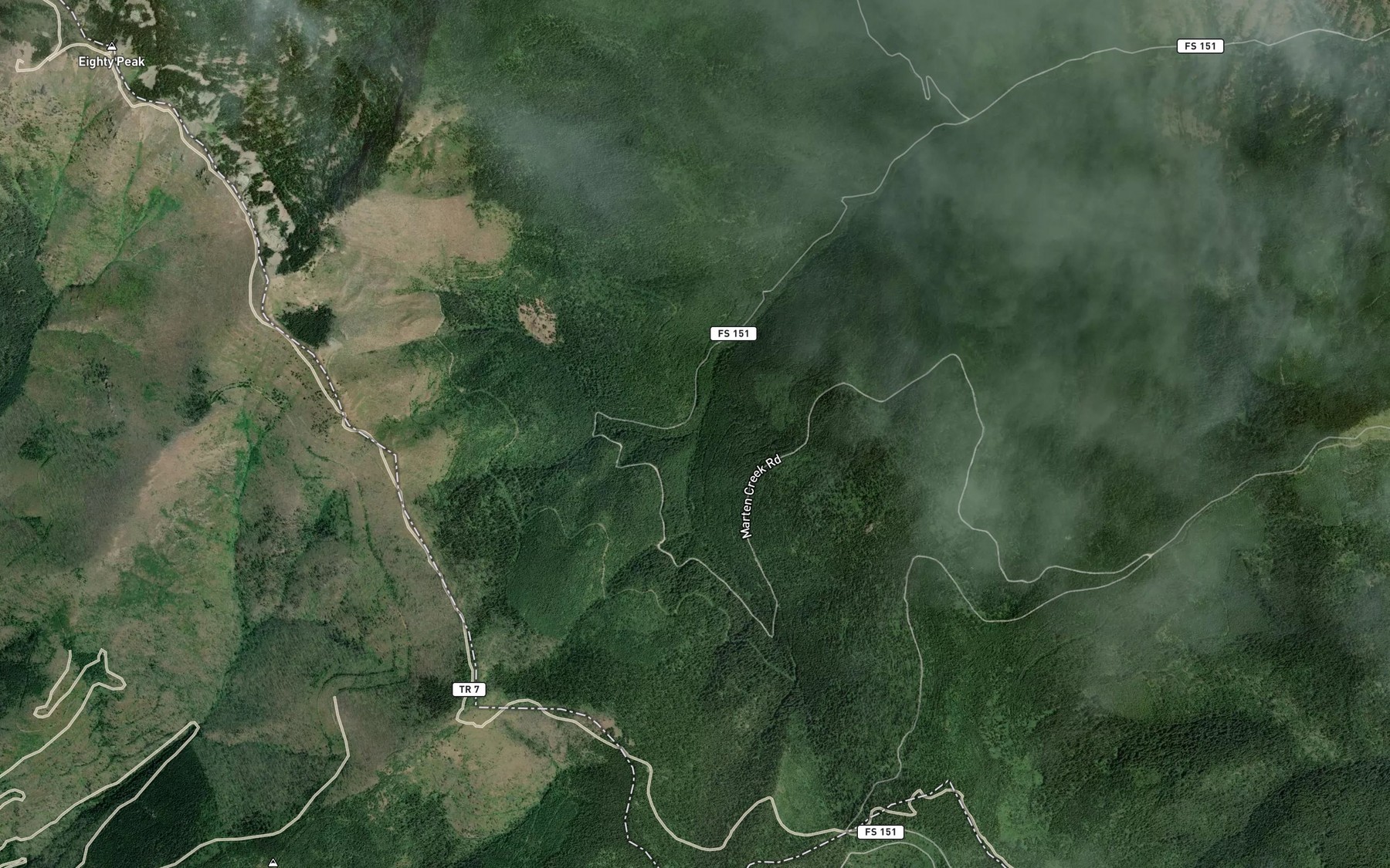 Satellite map of the Saddle Creek