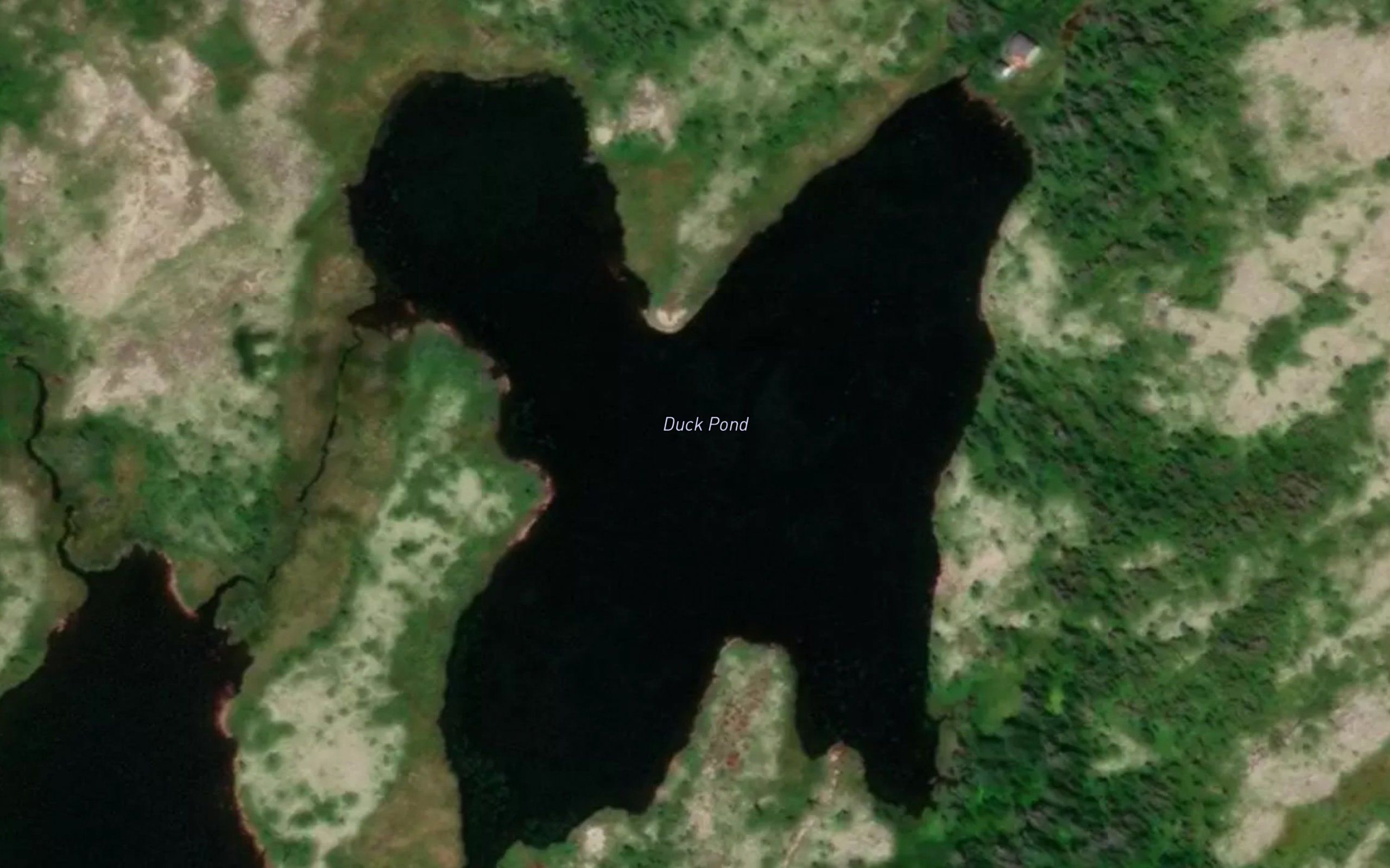 Duck Pond