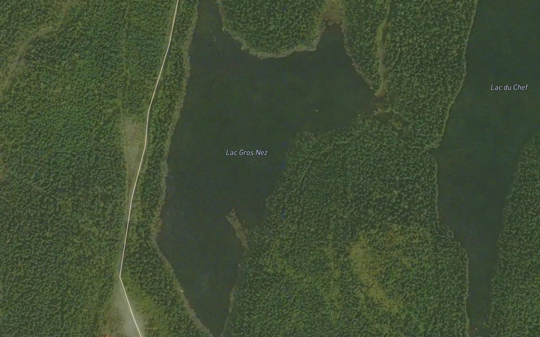 Satellite map of the Lac Gros Nez