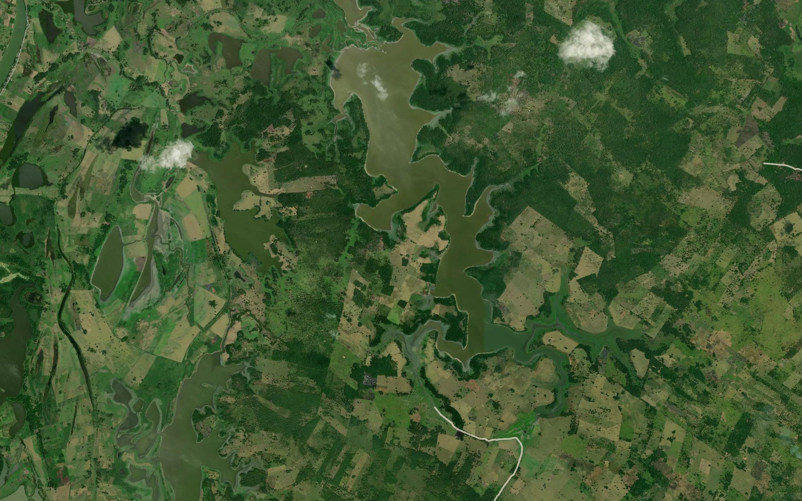 Laguna del Chimal