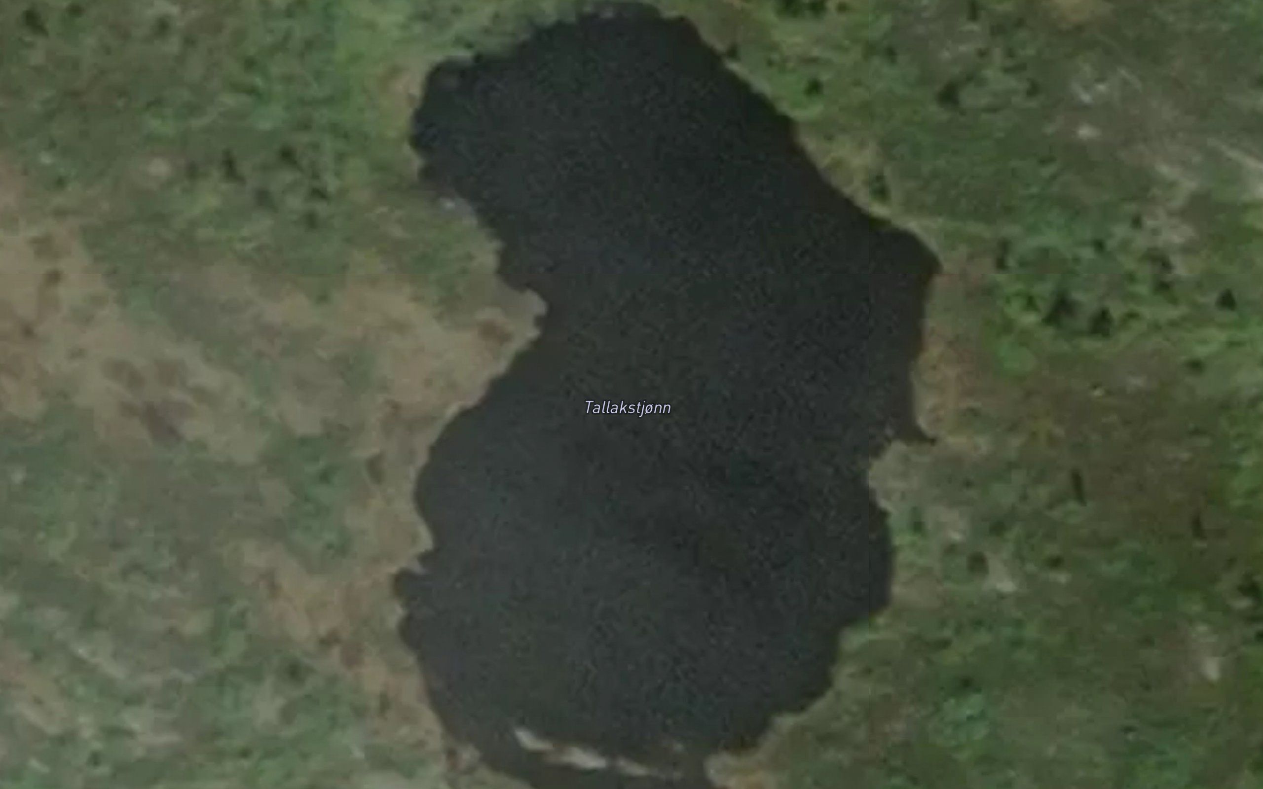 Tallakstjonn