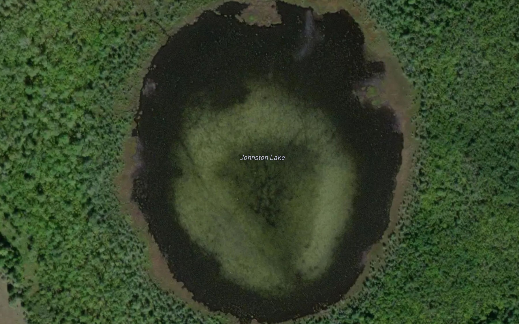 Satellite map of the Johnston Lake