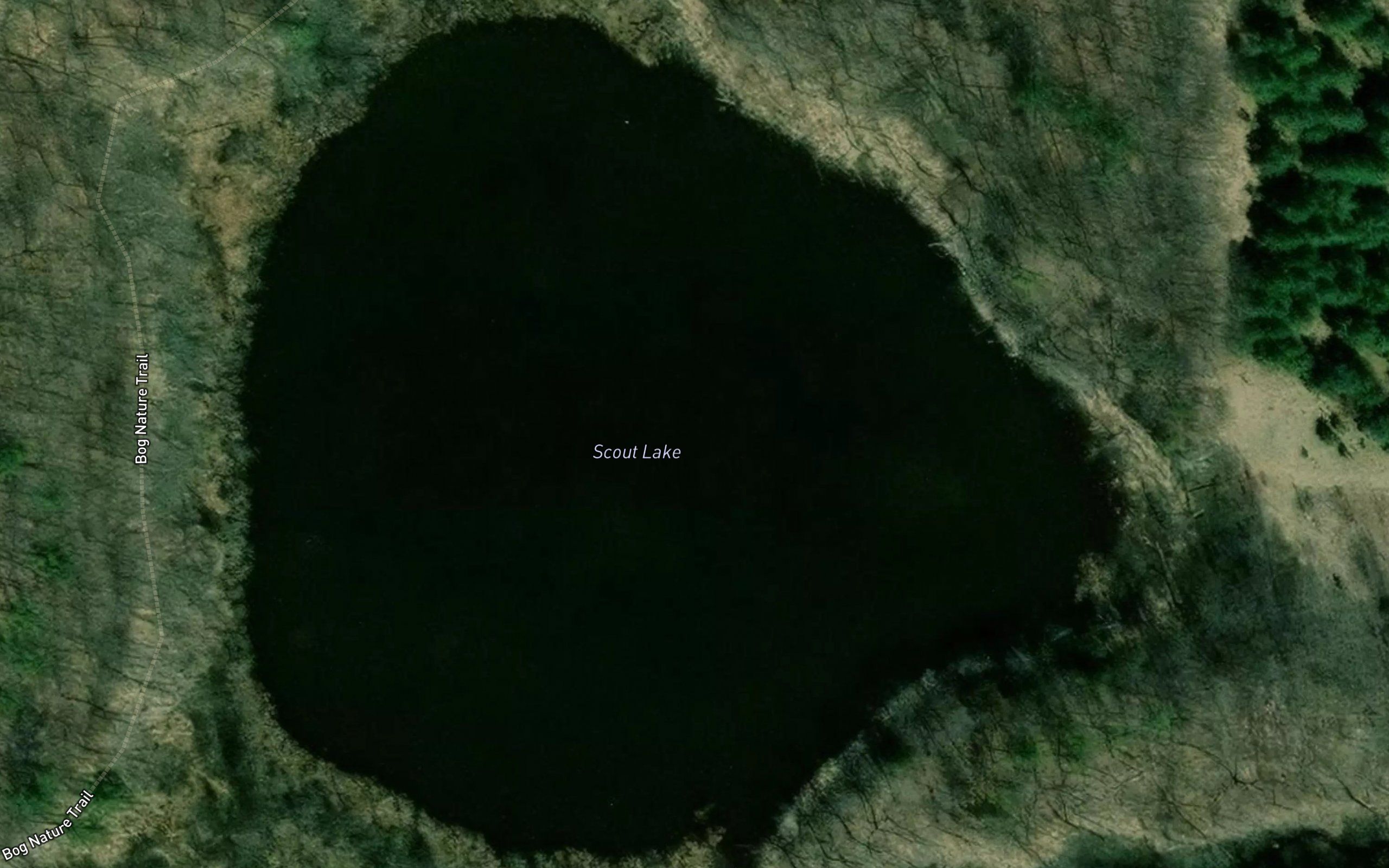 Scout Lake