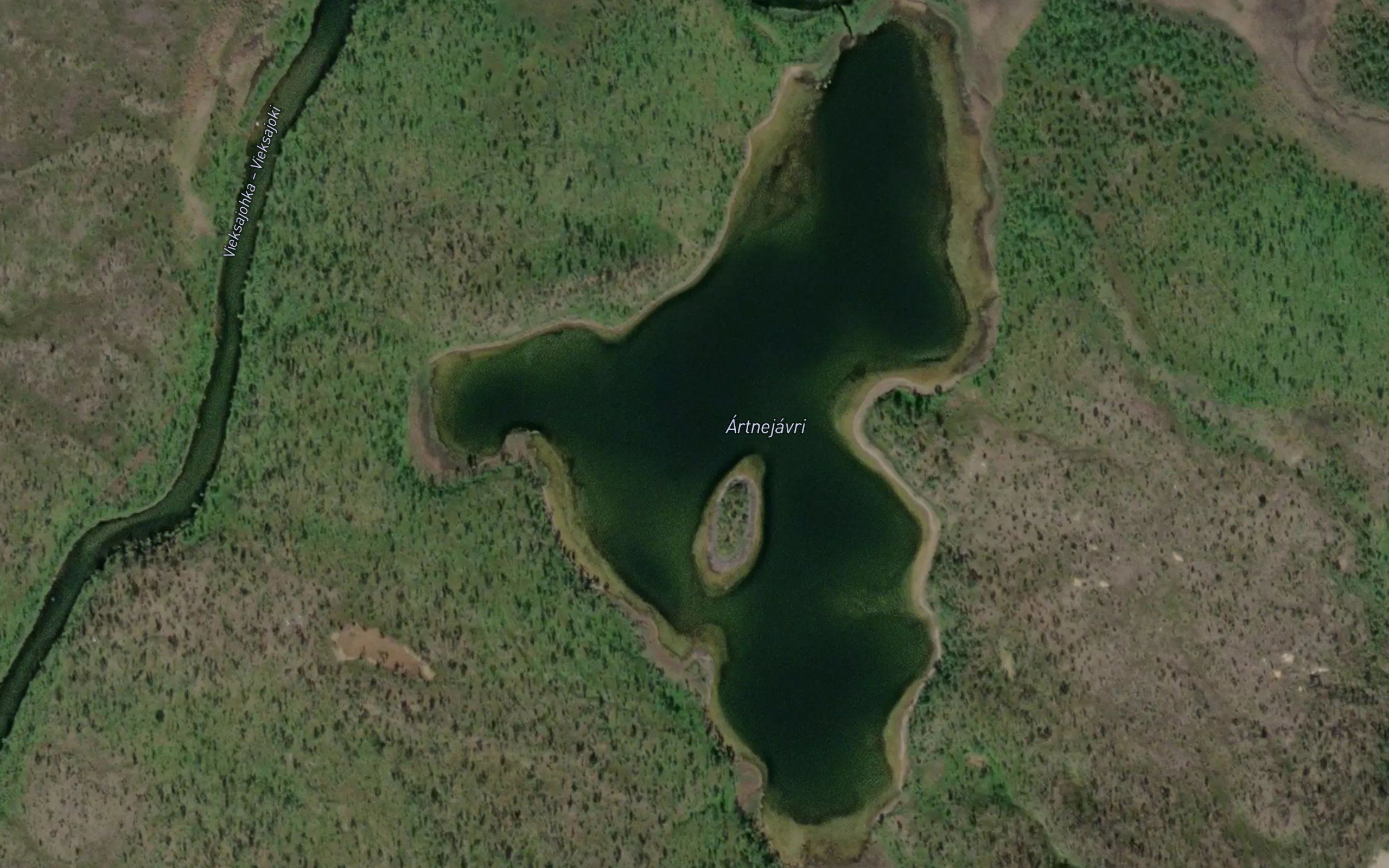 Ardnejavri