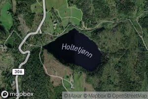 Holtetjorn