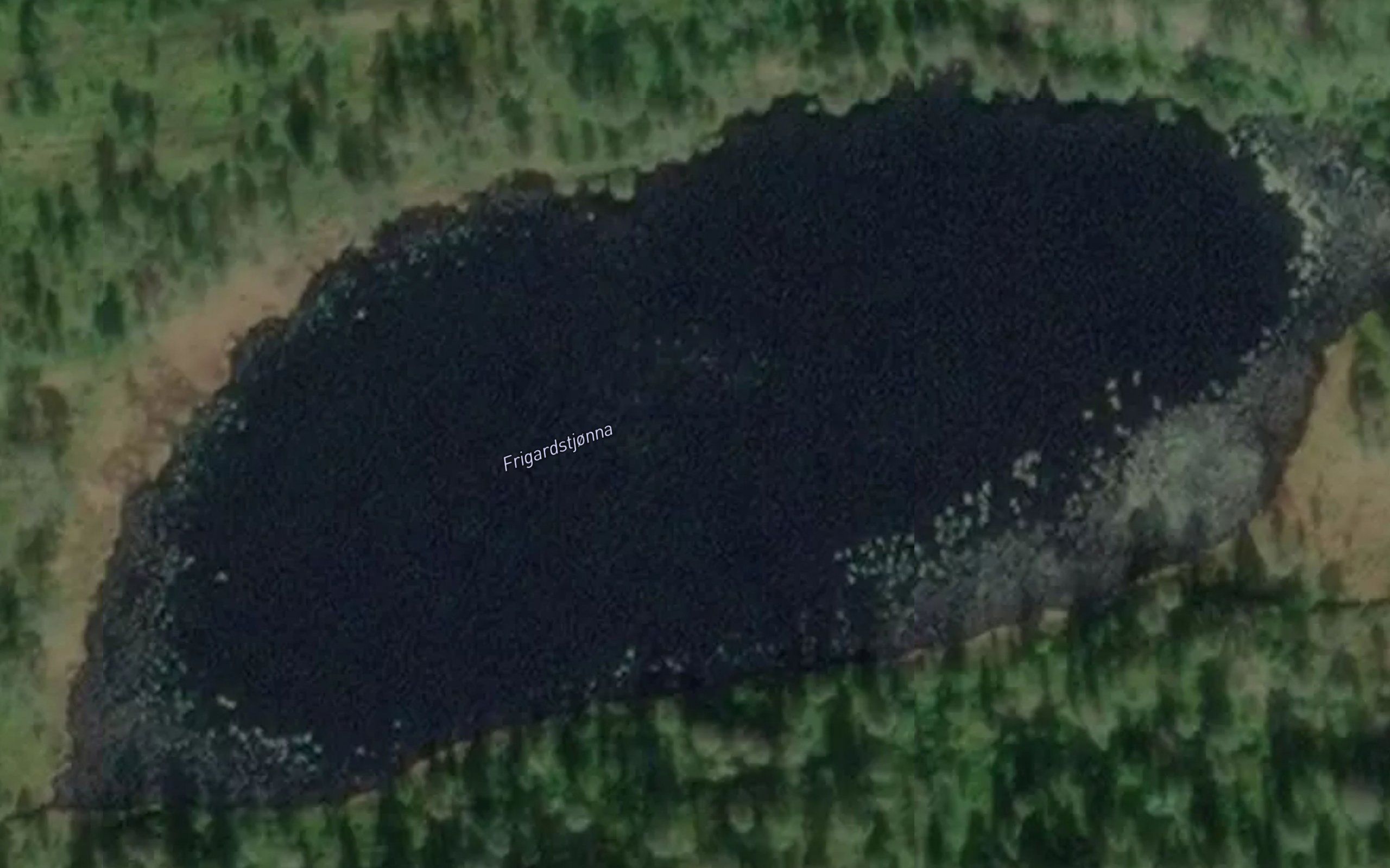 Frigardstjorna