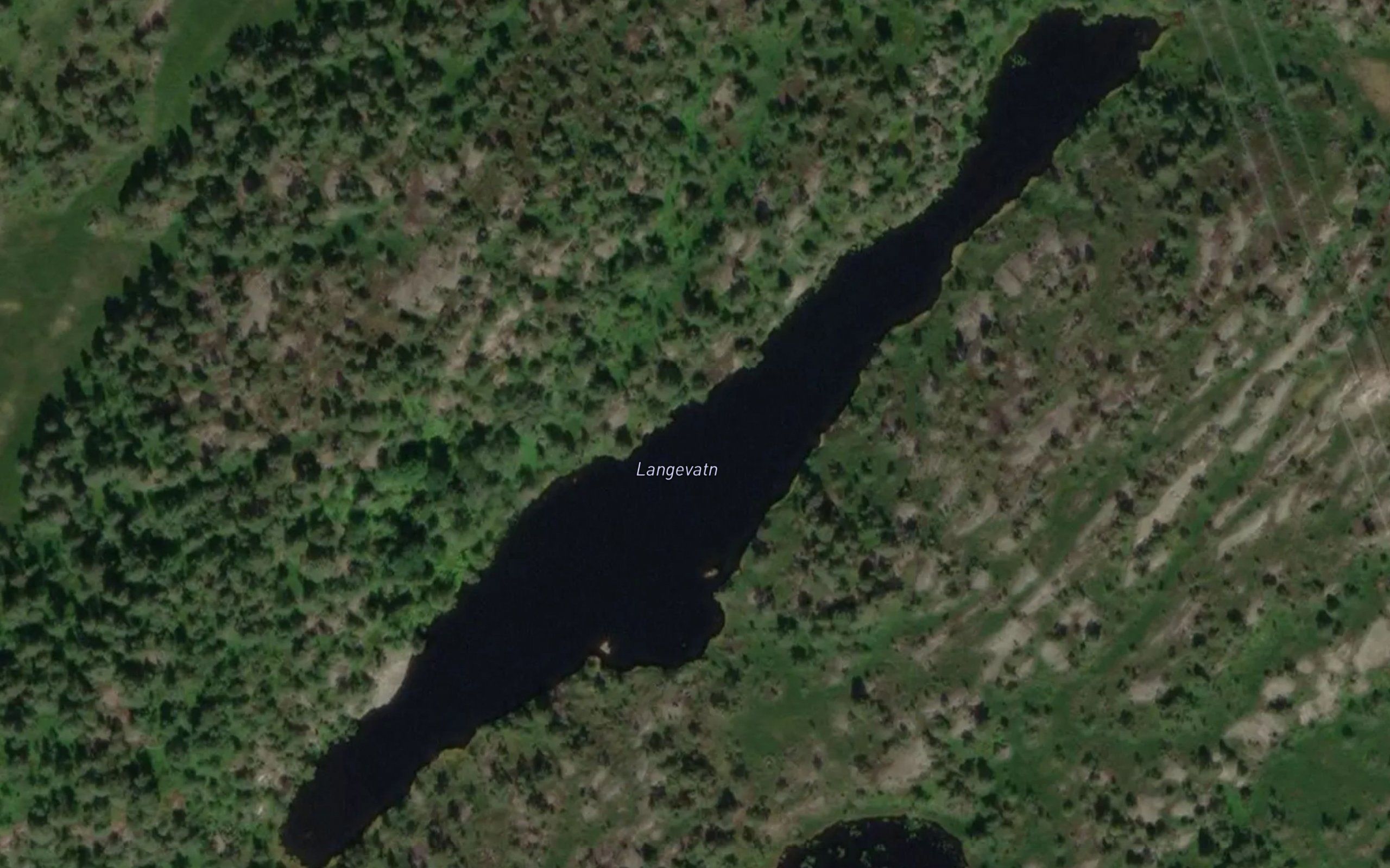Langevatn