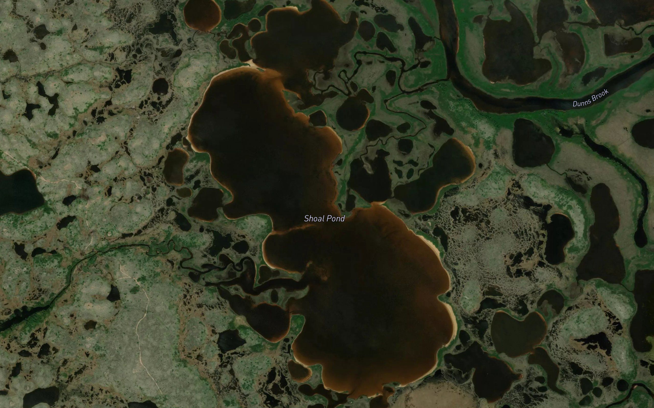 Shoal Pond