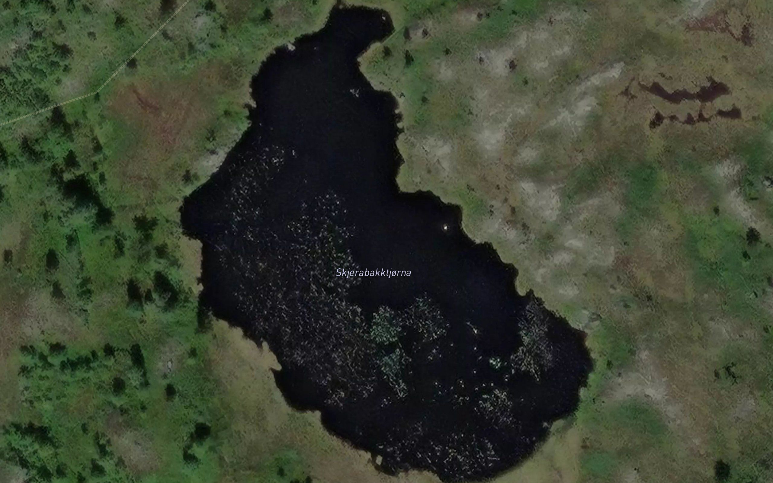 Skjerabakktjorna