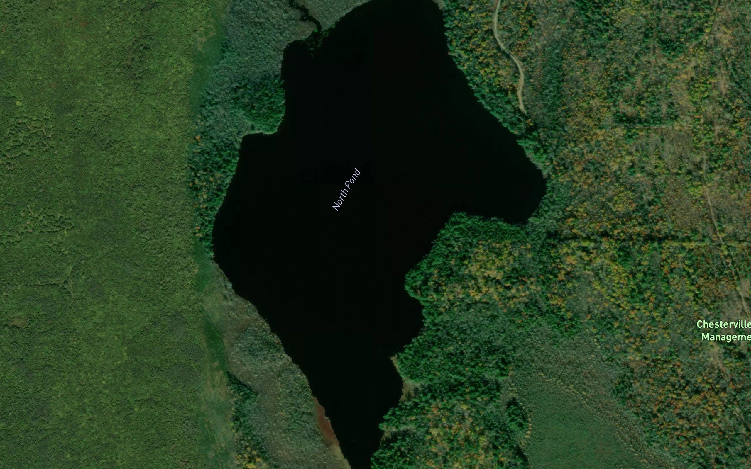 North Pond