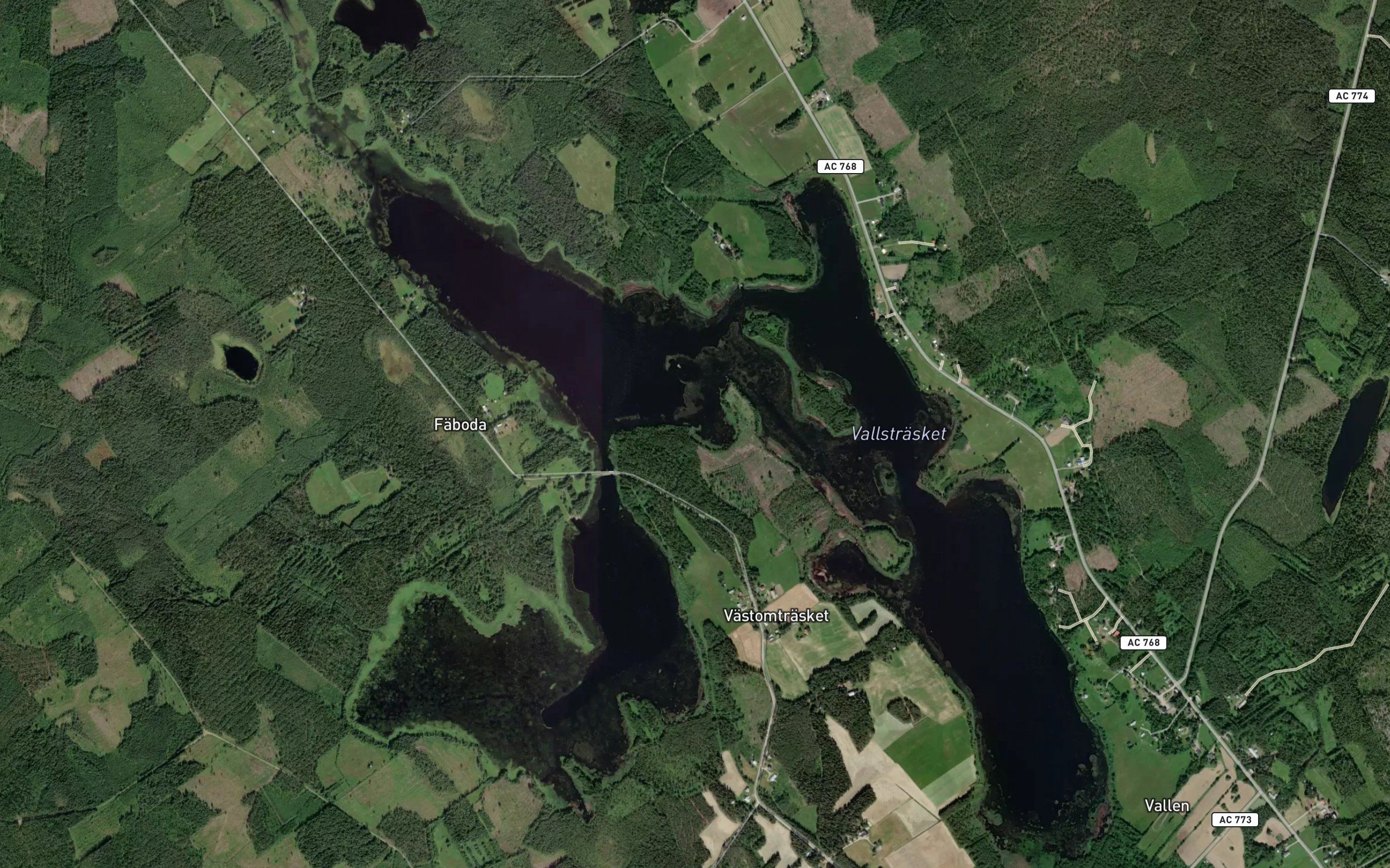 Vallstrasket