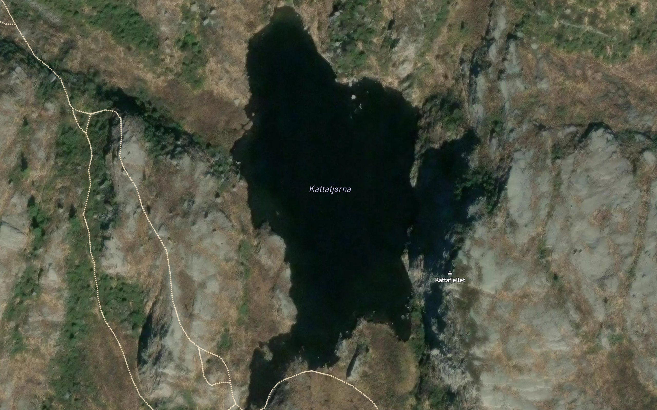Kattatjorna
