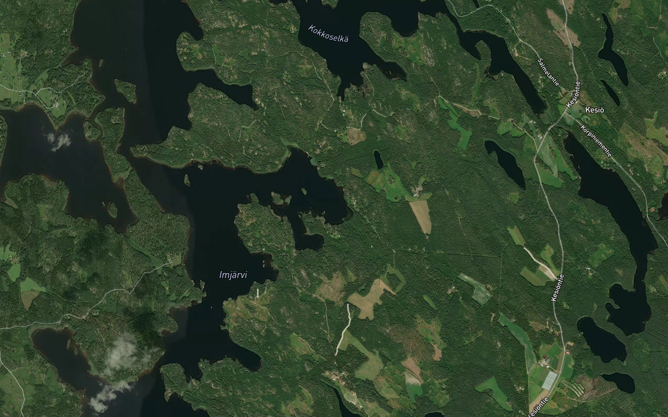 Immilanlahti