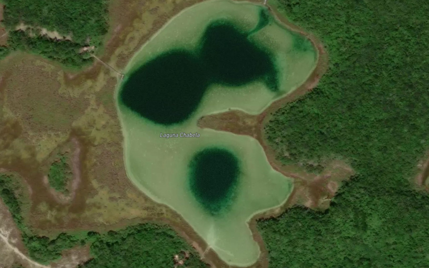 Satellite map of the Laguna Chabela