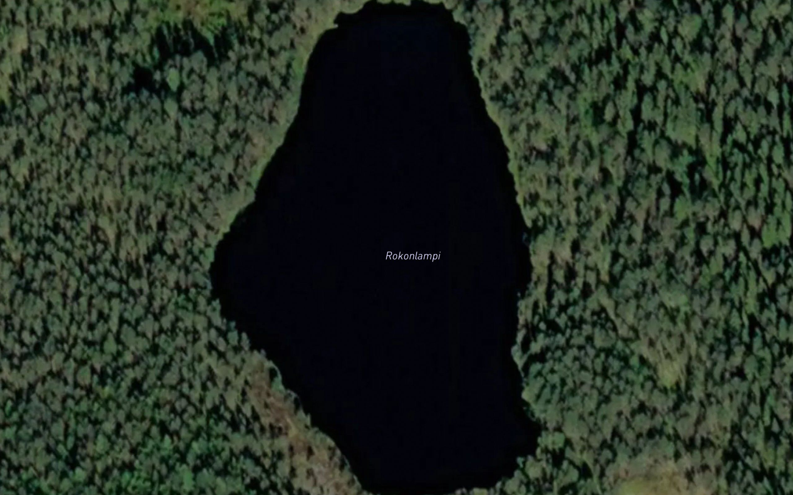 Rokonlampi