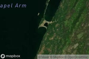 Upper Little Ridge Cove