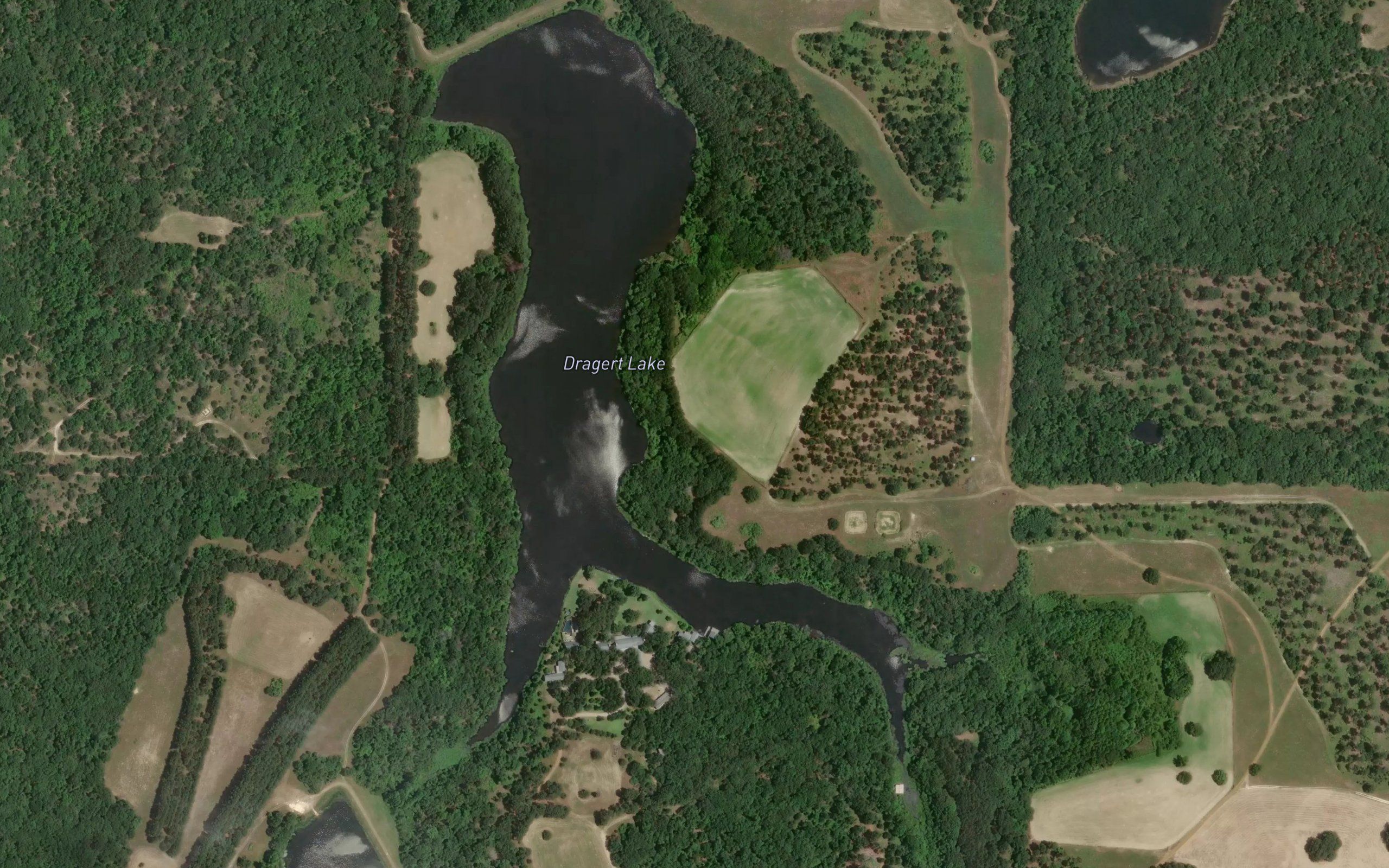 Dragert Lake