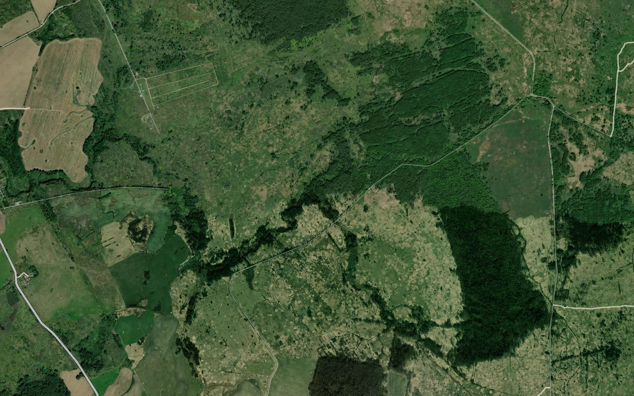 Pokosnaya