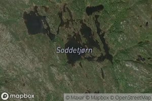 Soddetjonni