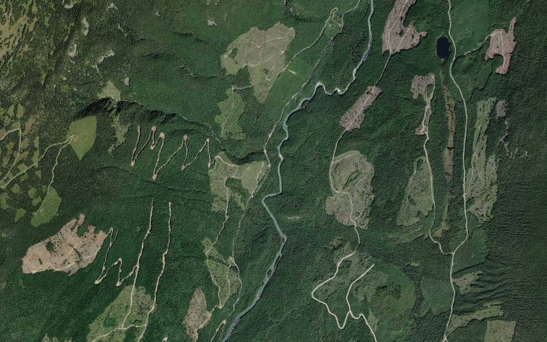 Satellite map of the Wesley Creek