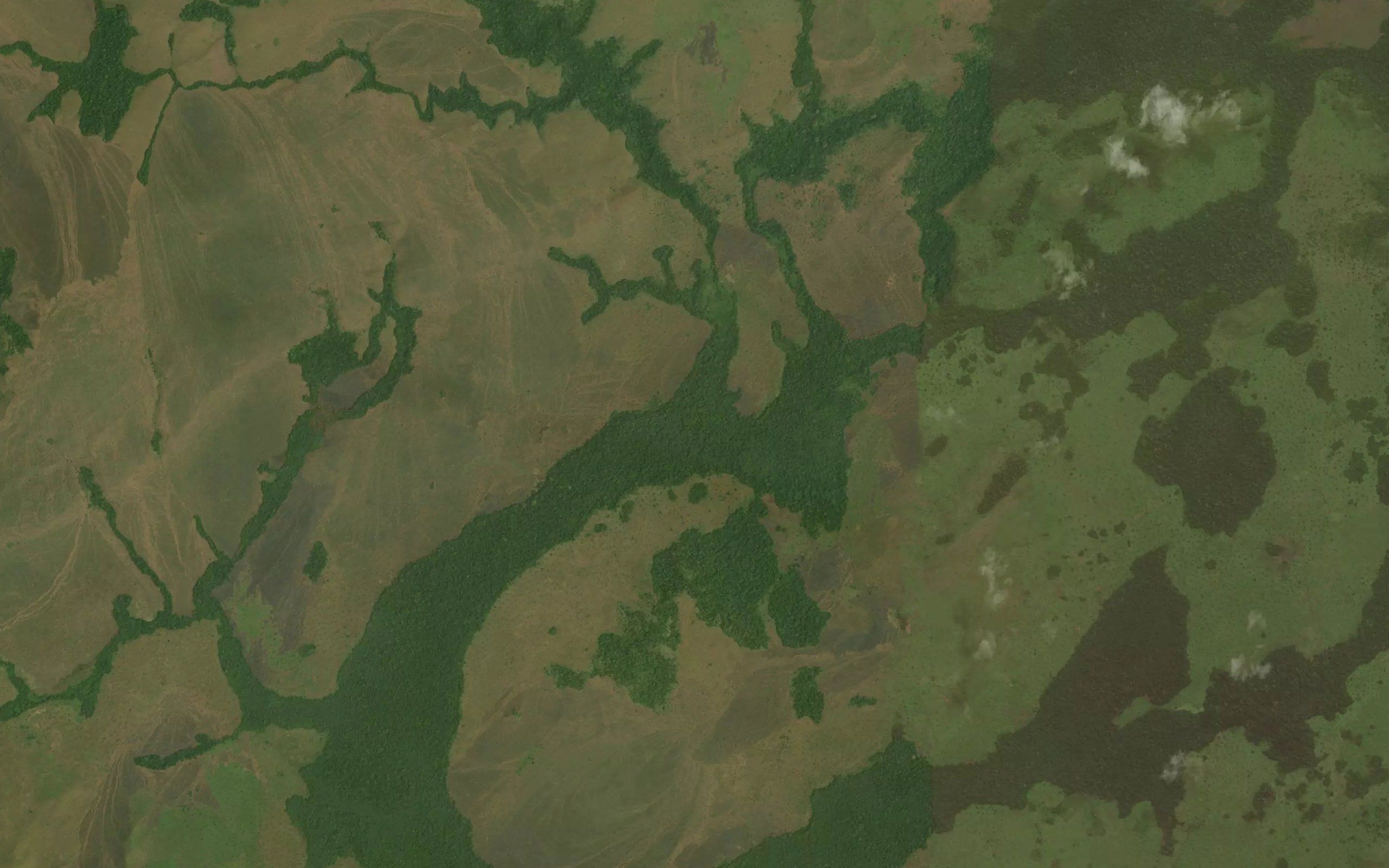 Lakwete