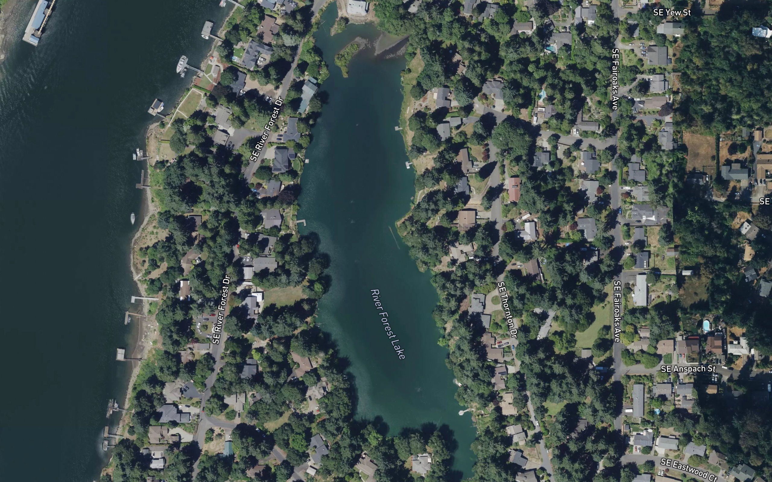 River Forest Lake