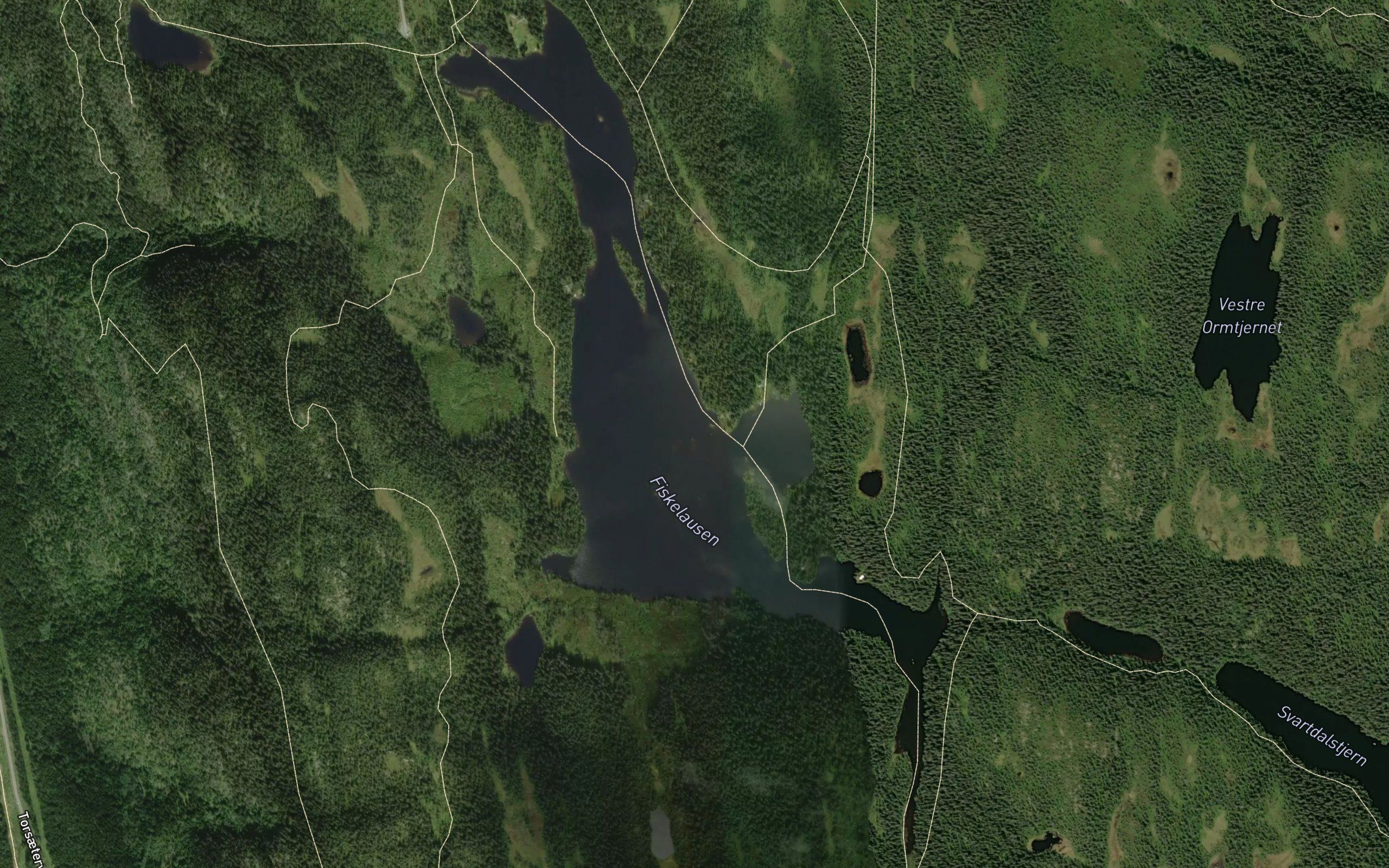 Fiskelausen