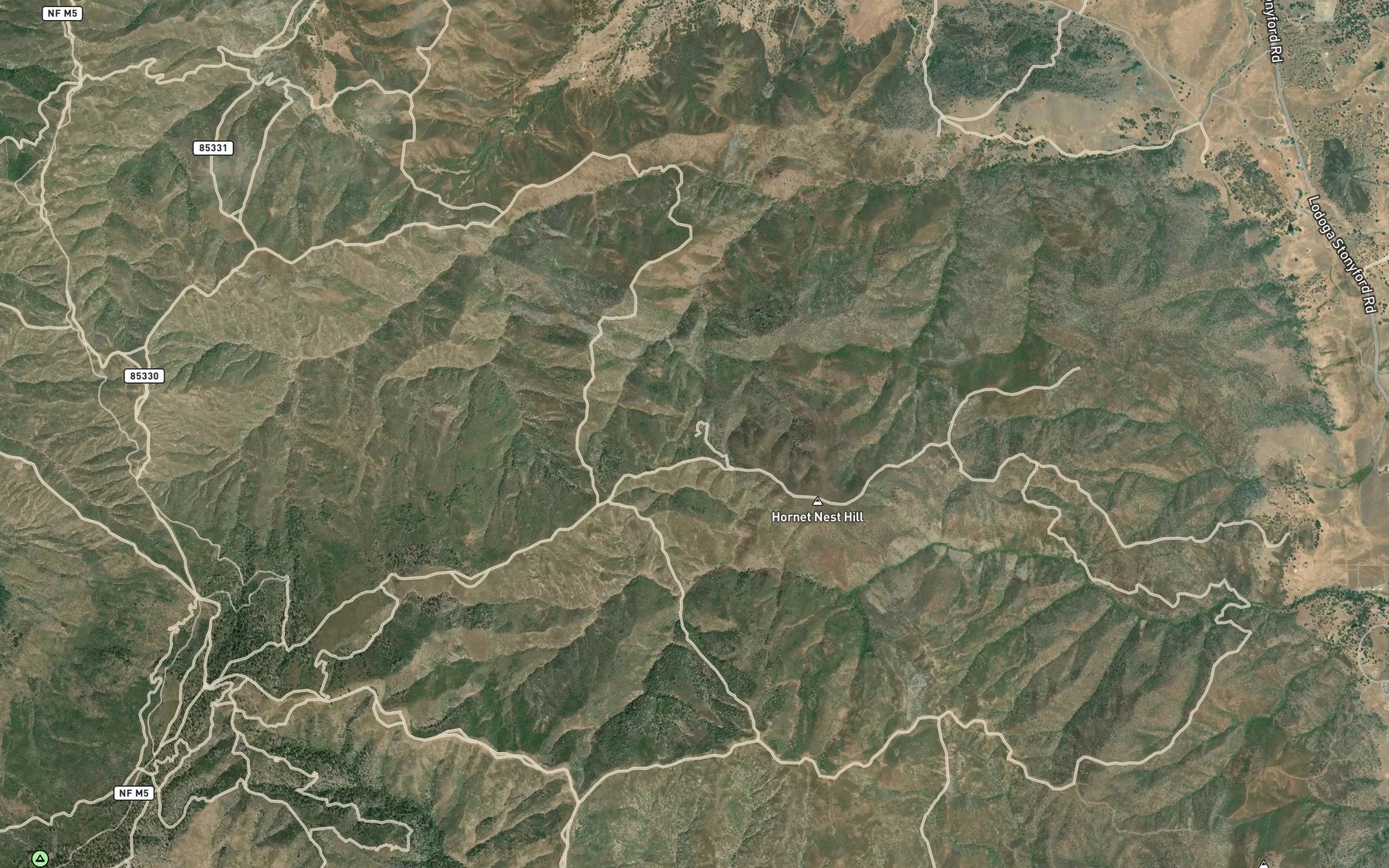 Satellite map of the Hornet Nest Spring