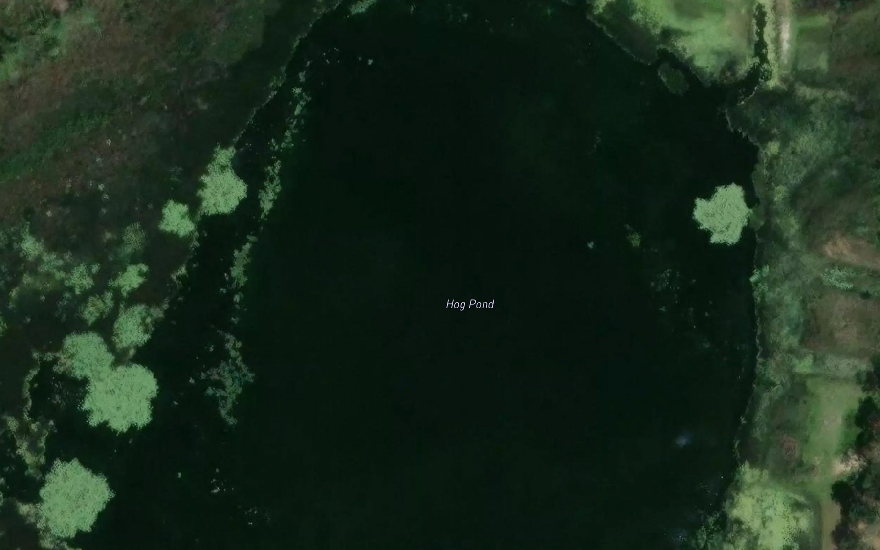 Satellite map of the Hog Pond