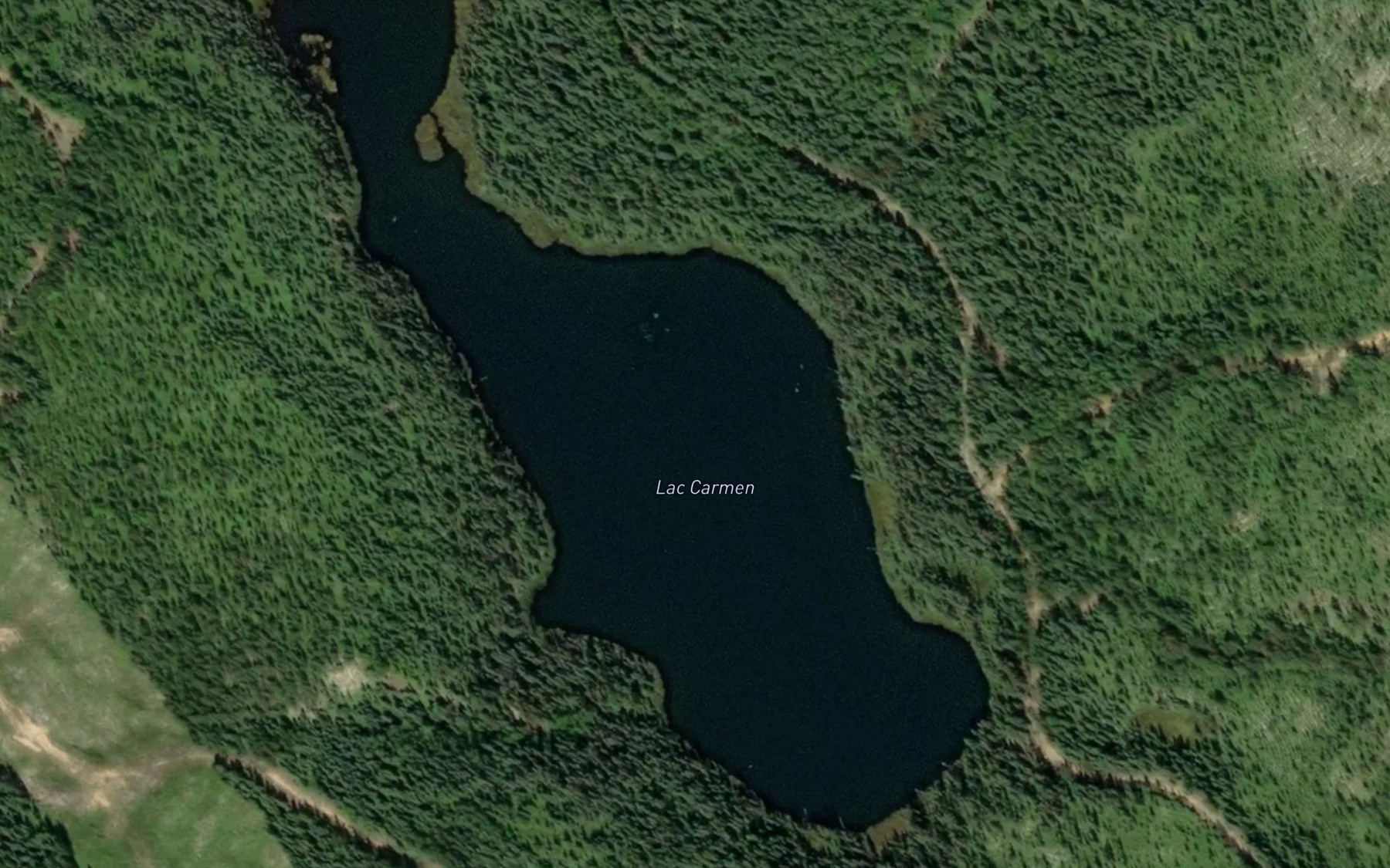 Satellite map of the Lac Carmen