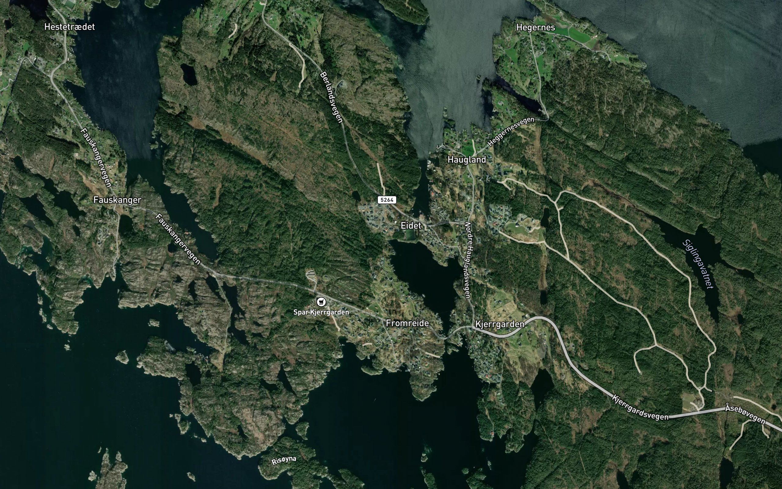 Rinnevika