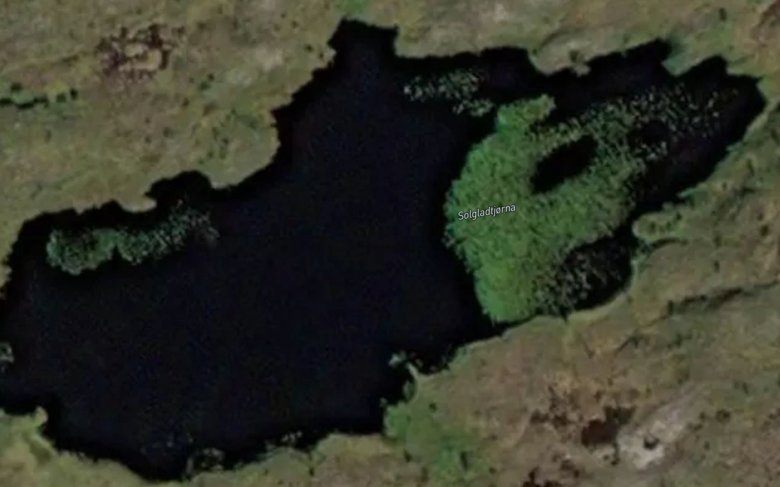 Solgladtjorna
