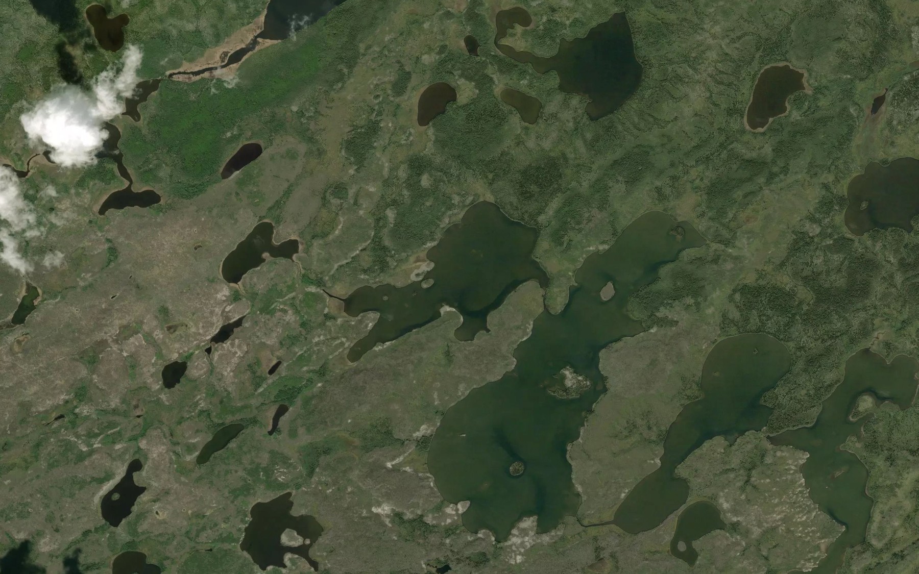Satellite map of the Tidy Lake