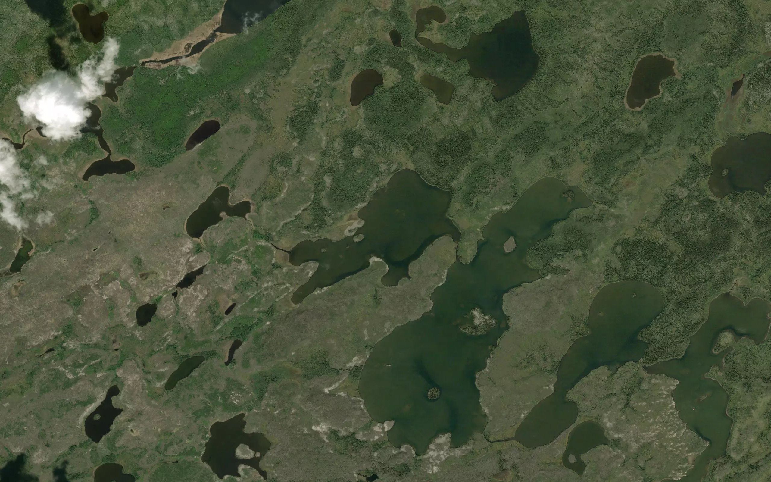 Tidy Lake
