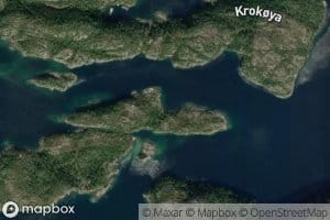 Verkarvika