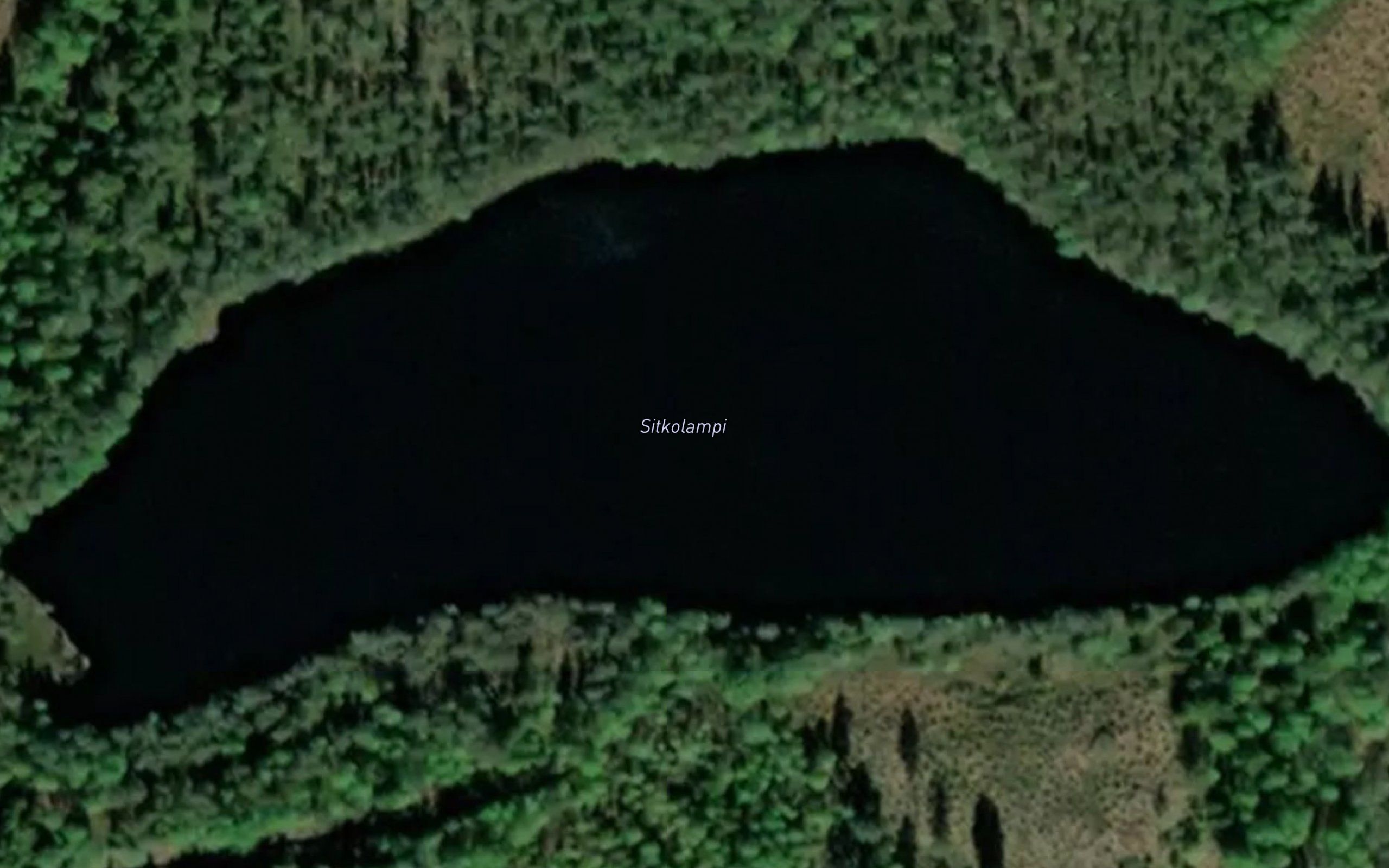 Sitkolampi