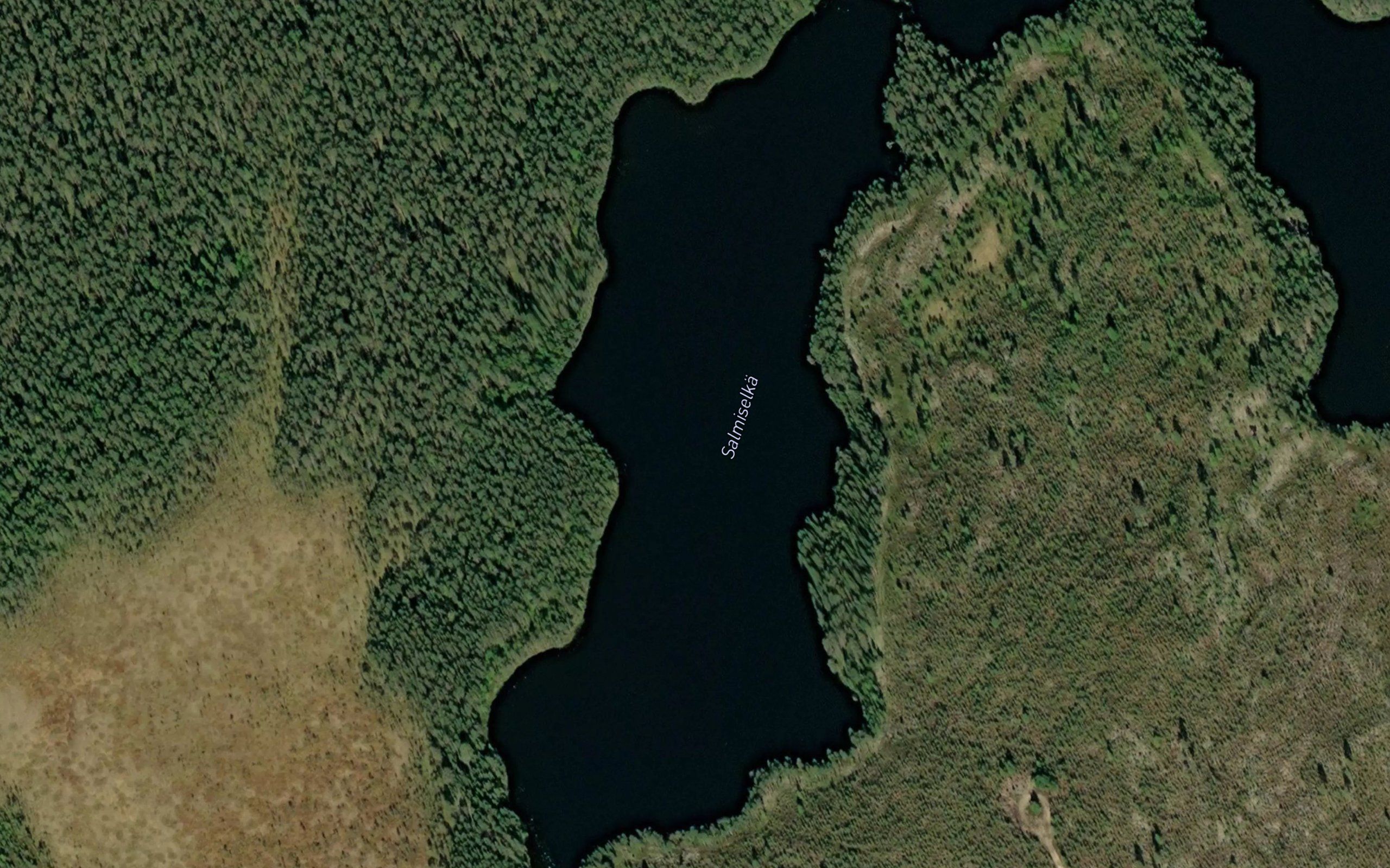 Salmiselka