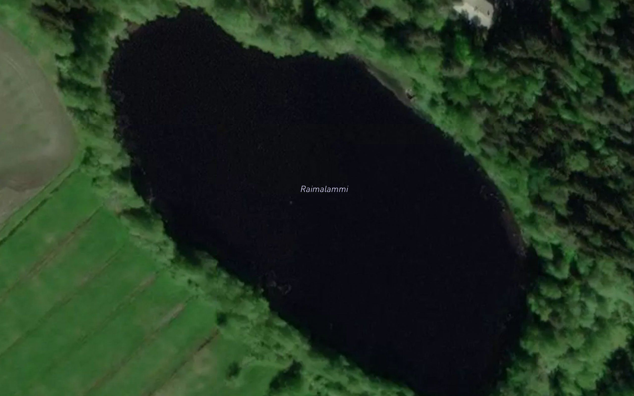 Raimalammi
