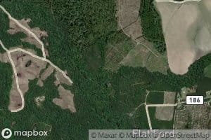 Doe Branch