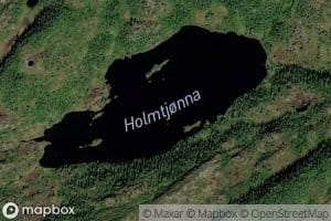 Holmtjorna