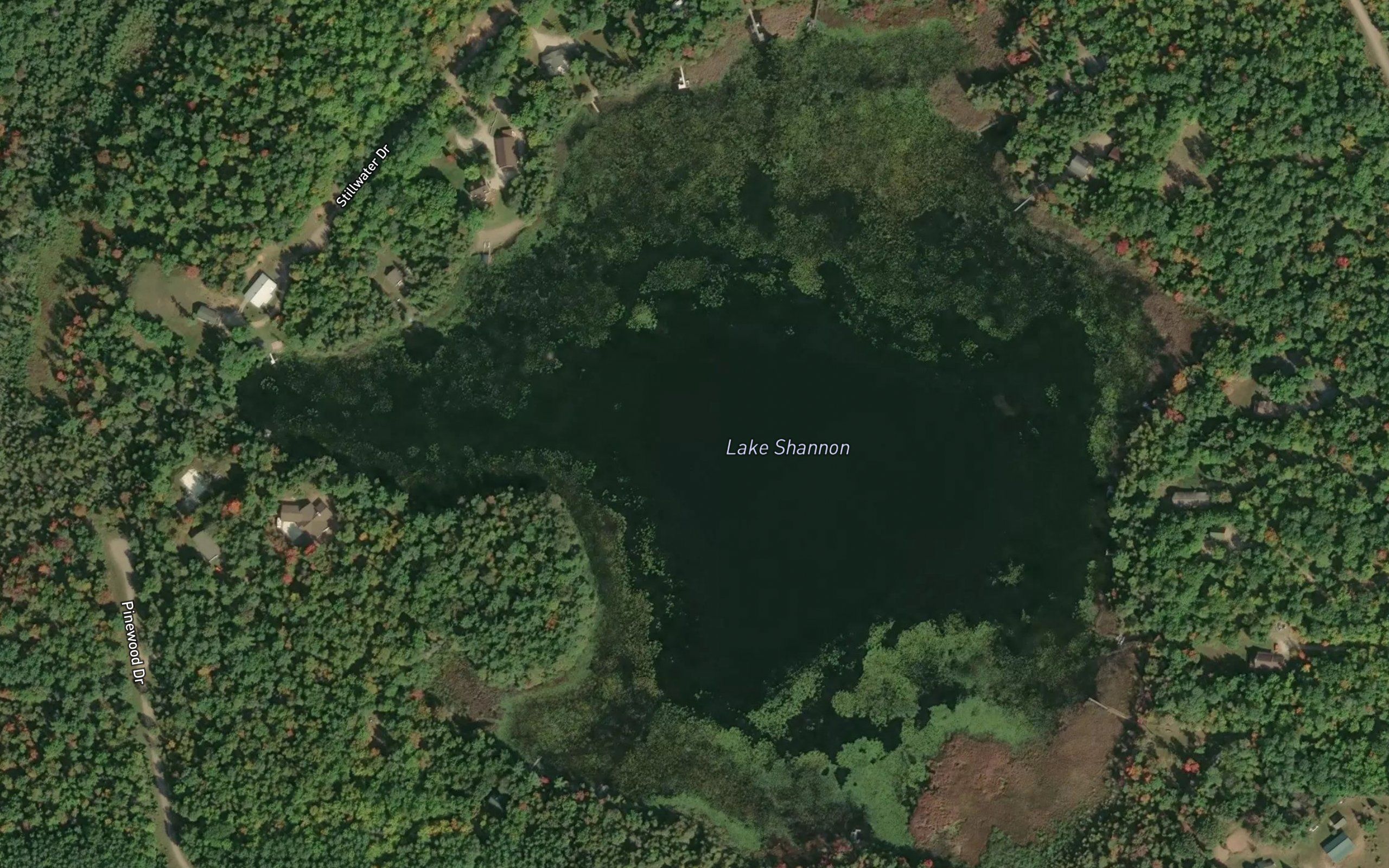 Lake Shannon