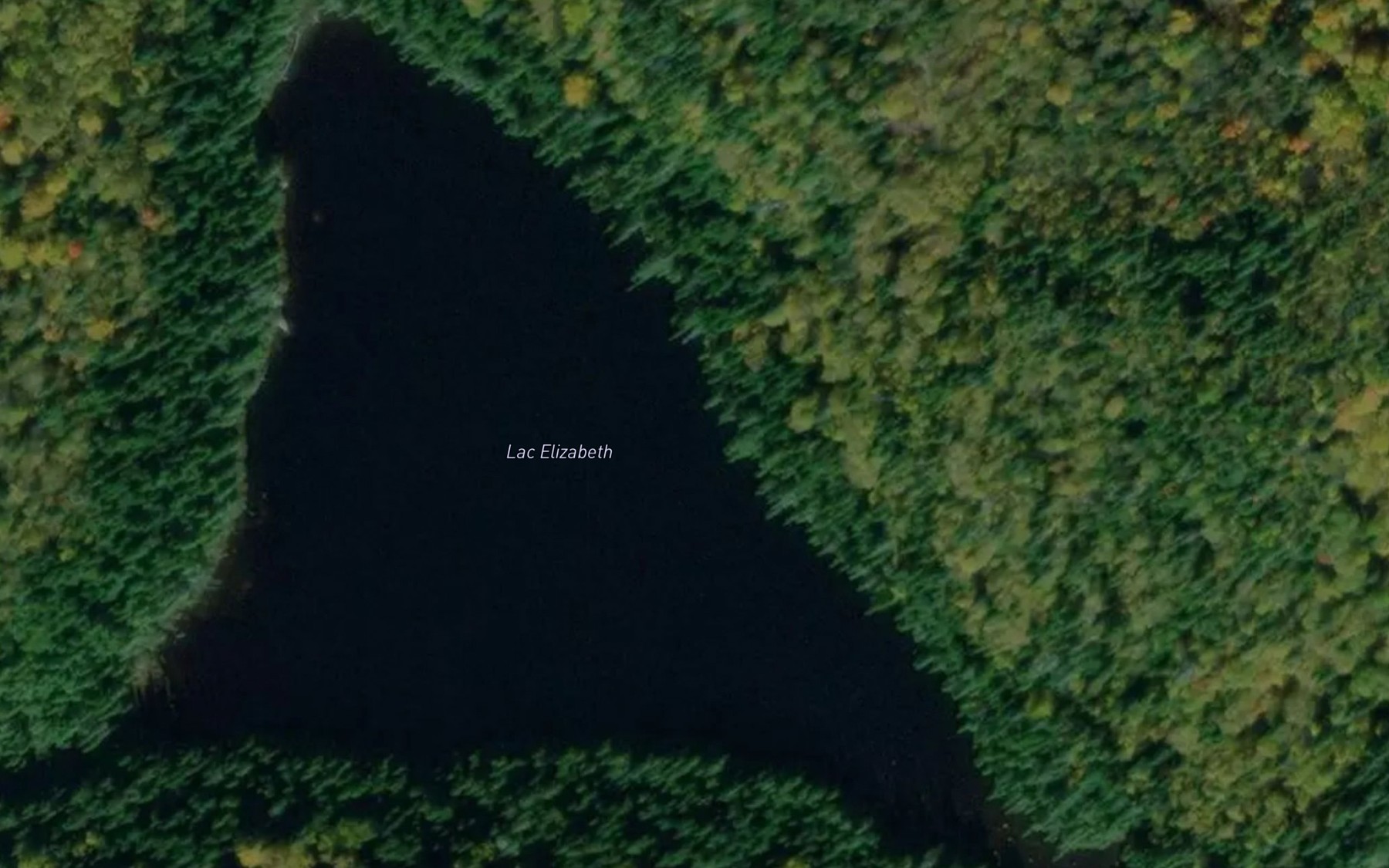 Satellite map of the Lac Elizabeth