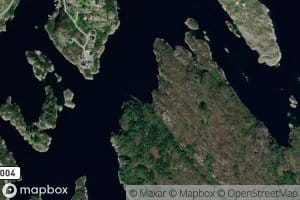 Kuungevika