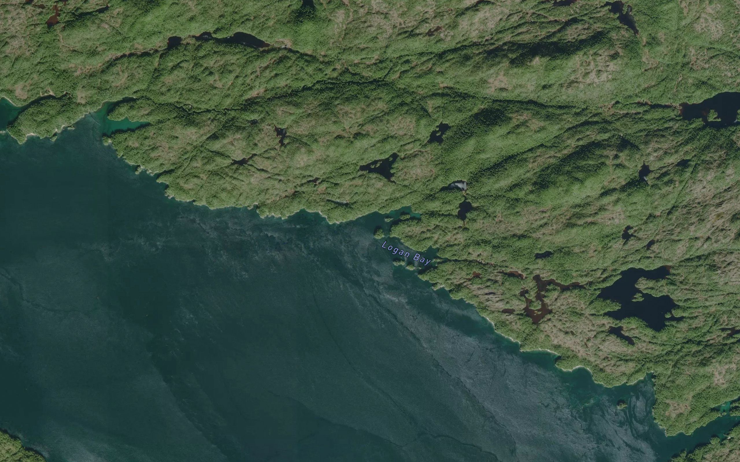 Logan Bay