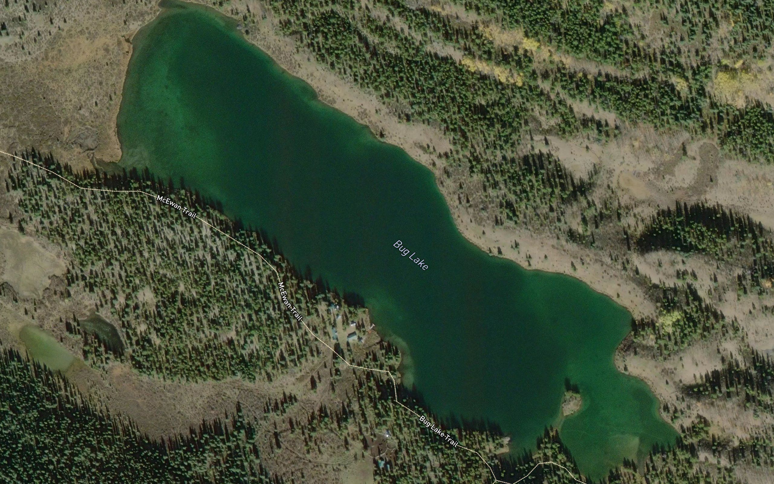 Bug Lake