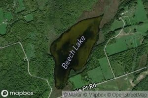 Beech Lake